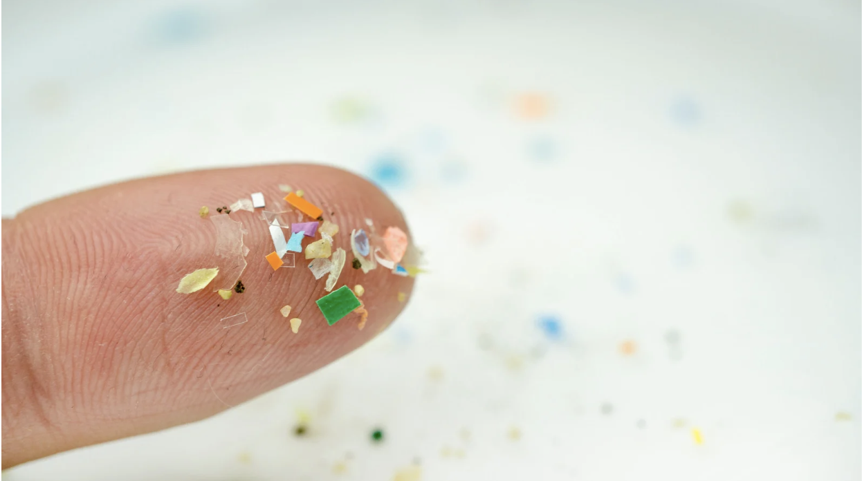 Hong Kong cannot afford to ignore the threat of microplastic pollution